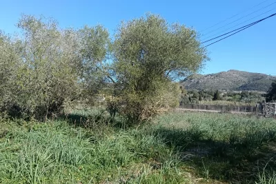 Venta Terrenos Arta