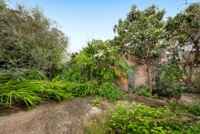 Venta Casas Son Macia