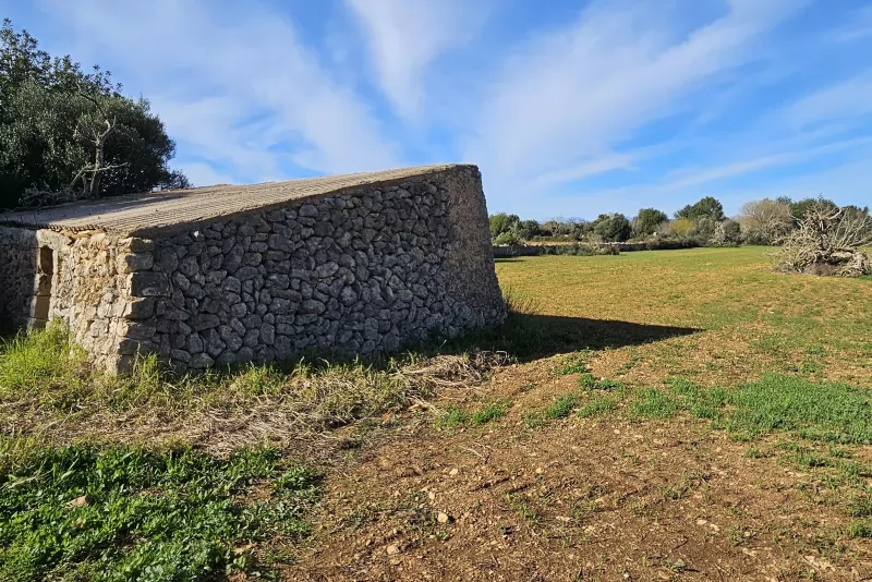 Finca edificable en Manacor