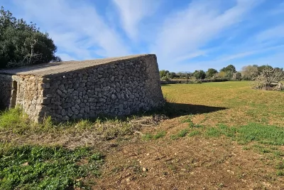 Venta Terrenos Manacor