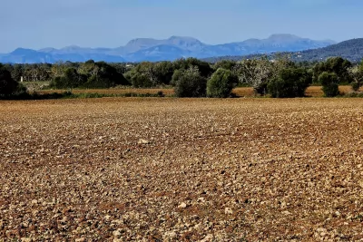 Venta Terrenos Manacor