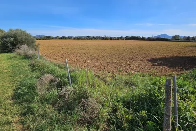 Venta Terrenos Manacor