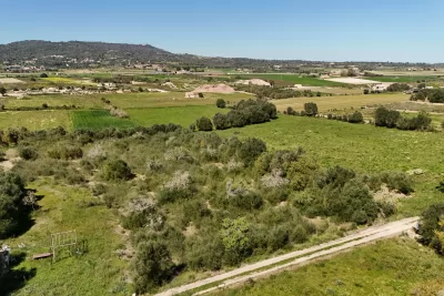 Venta Terrenos Vilafranca de Bonany