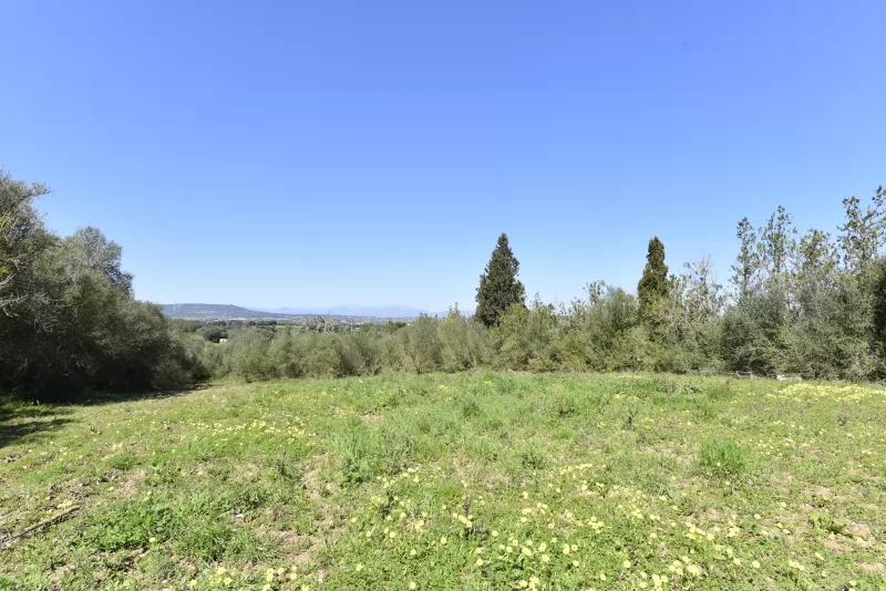 Finca rústica con proyecto de legalización de almacen agricola.