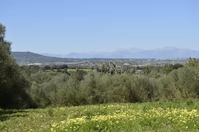 Venta Fincas Manacor