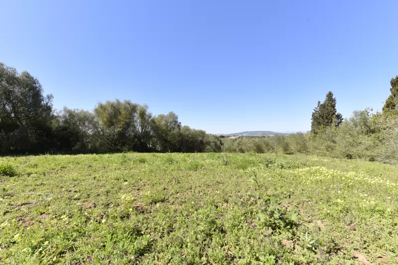 Finca rústica con proyecto de legalización de almacen agricola.