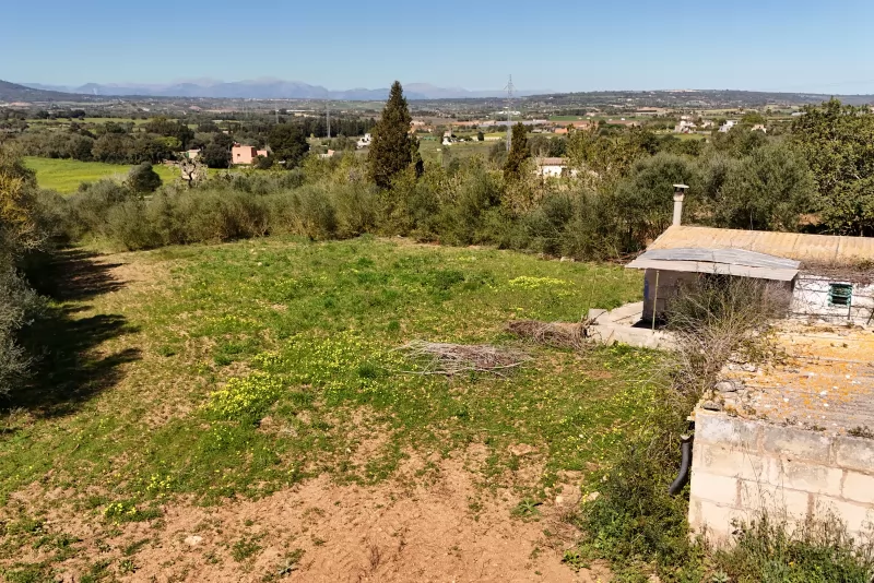 Finca rústica con proyecto de legalización de almacen agricola.