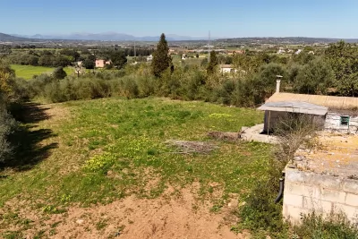 Venta Fincas Manacor