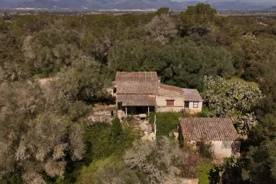 Venta Fincas Costitx