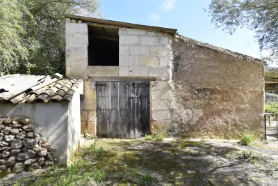 Venta Fincas Costitx