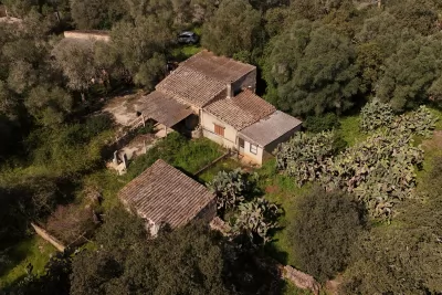 Venta Fincas Costitx