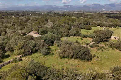 Venta Fincas Costitx