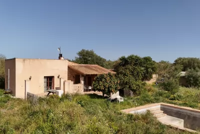 Venta Fincas Felanitx
