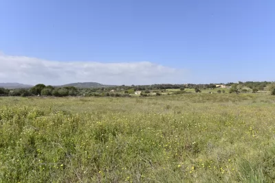 Venta Terrenos Son Carrio