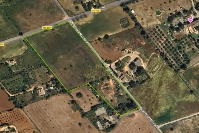 Venta Terrenos Son Carrio