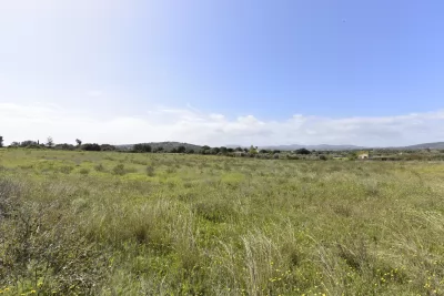 Venta Terrenos Son Carrio