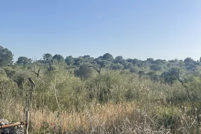 Venta Terrenos Son Carrio