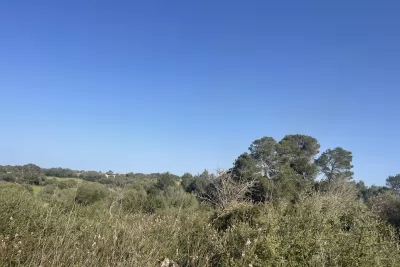 Venta Terrenos Son Carrio