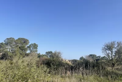 Venta Terrenos Son Carrio