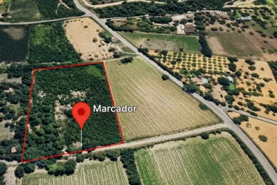 Venta Terrenos Son Macia