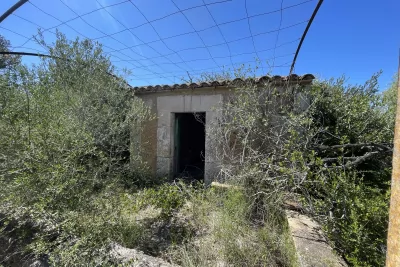 Venta Fincas San Lorenzo