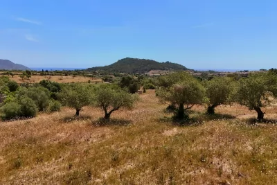 Compra Venta Terrenos en Son Servera