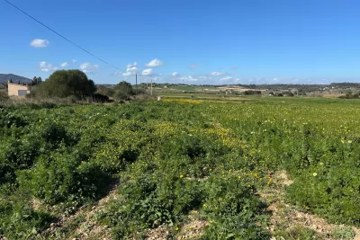 Compra Venta Terrenos en Manacor