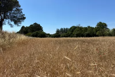 Vendita Terra Manacor