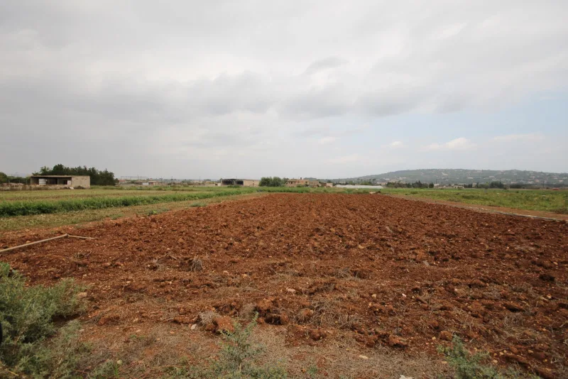 Finca en venta en Manacor