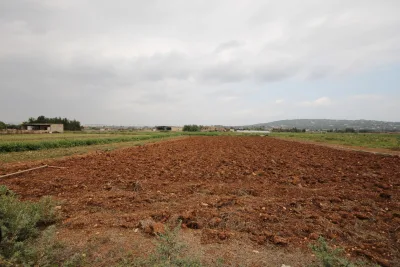 Venta Terrenos Manacor