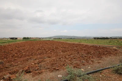 Venta Terrenos Manacor