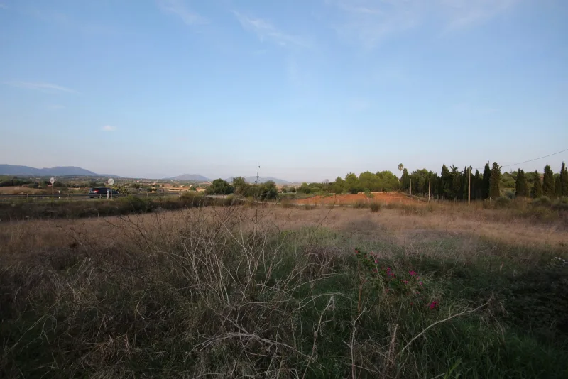 Se vende finca rustica en Manacor