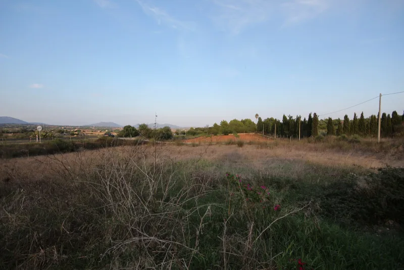 Se vende finca rustica en Manacor