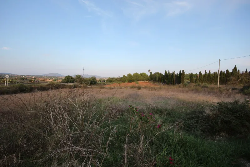Se vende finca rustica en Manacor