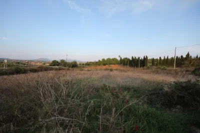 Venta Terrenos Manacor