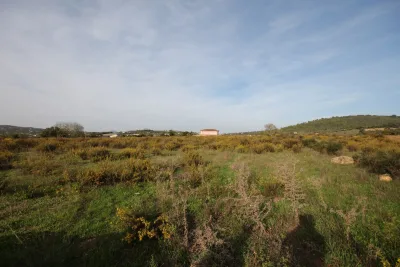 Venta Terrenos Manacor