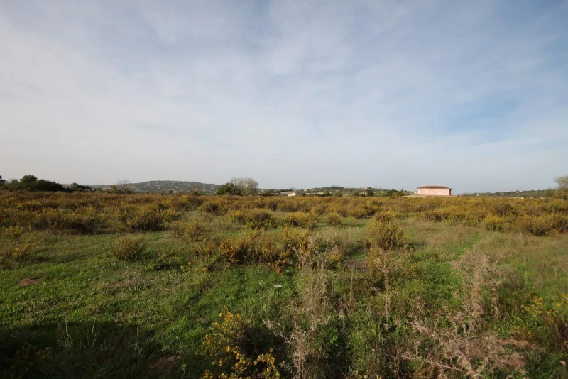 Se vende Terreno en Manacor
