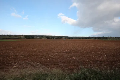 Venta Terrenos Manacor