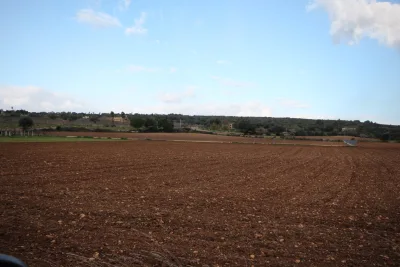 Venta Terrenos Manacor