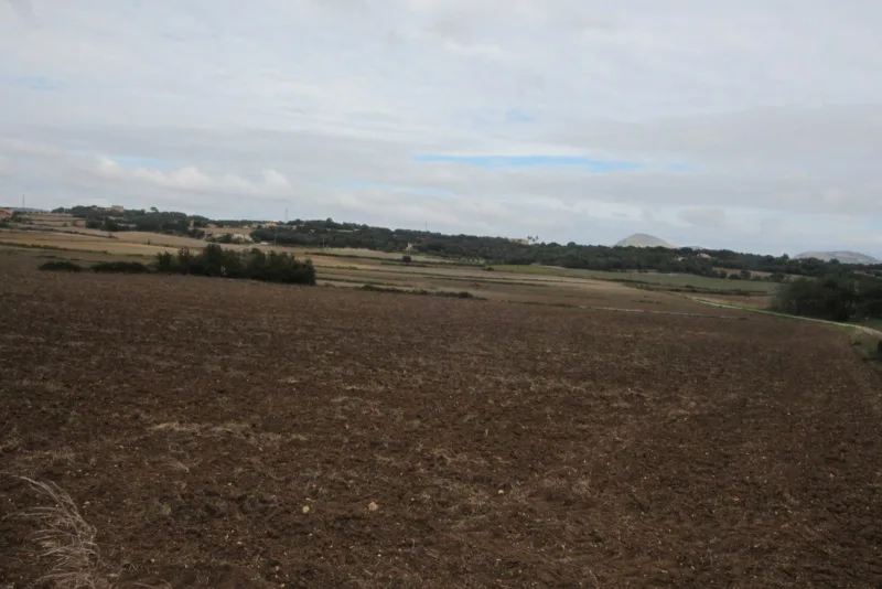 Se vende Terreno en Manacor