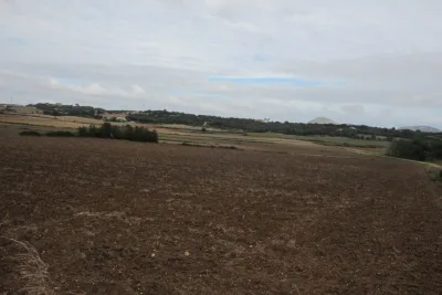 Venta Terrenos Manacor