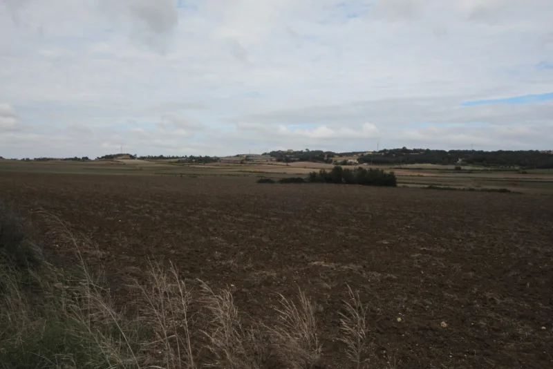 Se vende Terreno en Manacor