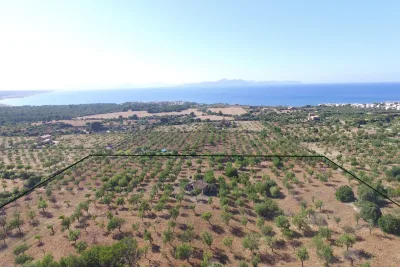 Venta Fincas Colonia de Sant Pere