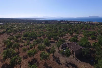 Venta Fincas Colonia de Sant Pere