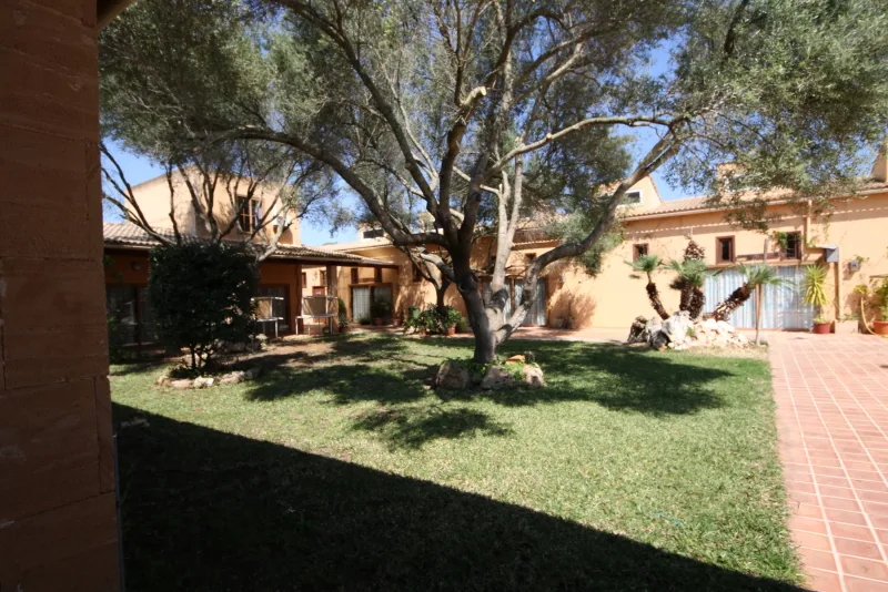 Se vende finca en Petra