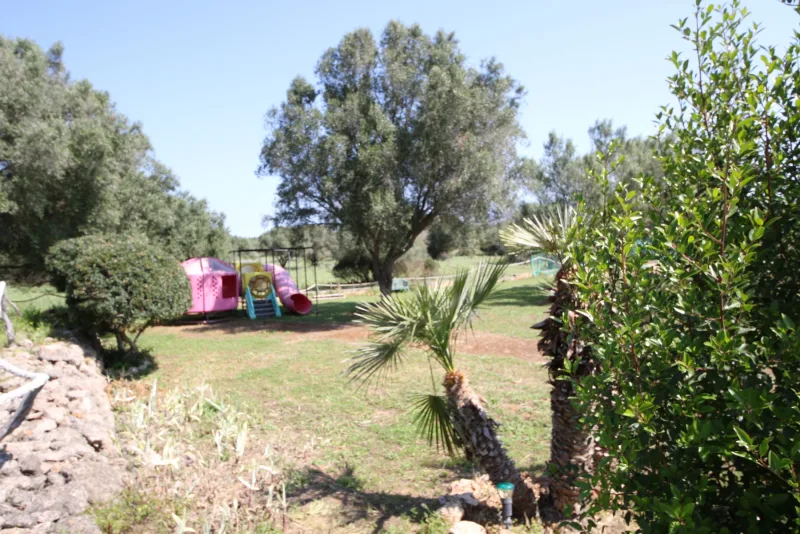 Se vende finca en Petra