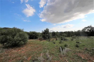 Venta Terrenos Manacor