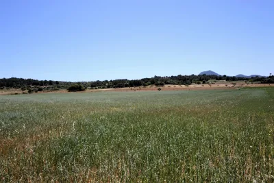 Venta Terrenos Manacor