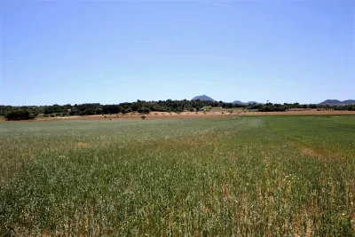 Venta Terrenos Manacor