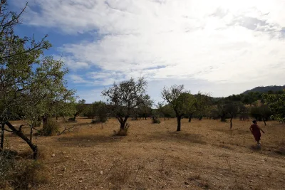 Venta Fincas San Lorenzo